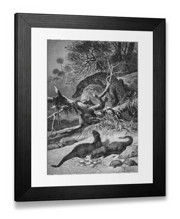 Framed Print : Ichneumons stealing crocodile eggs Framed Print : Ichneumons stealing crocodile eggs