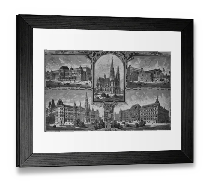 Framed Print : Monumental buildings of Vienna: university Framed Print : Monumental buildings of Vienna: university