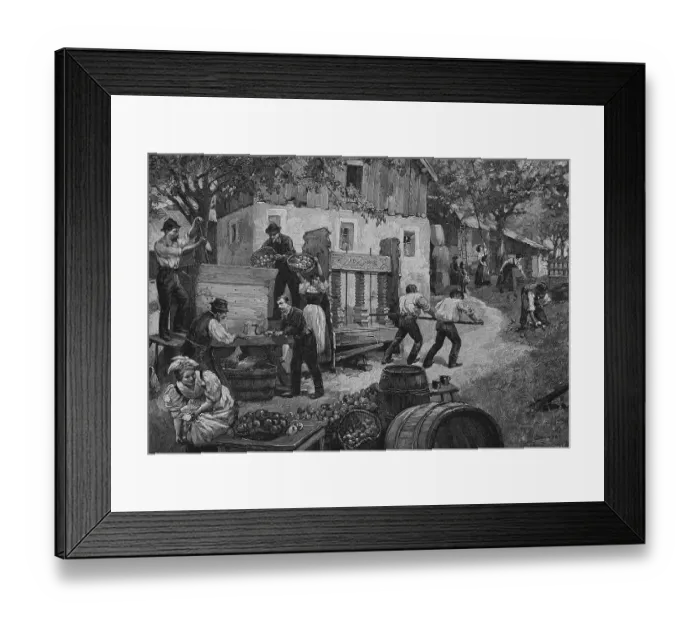 Framed Print : Must press in Upper Austria, Austria Framed Print : Must press in Upper Austria, Austria