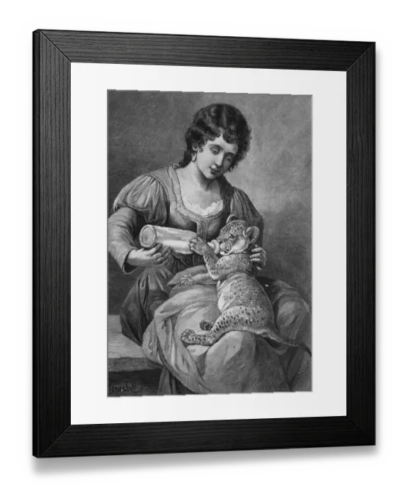 Framed Print : Woman feeding baby lion with a bottle Framed Print : Woman feeding baby lion with a bottle