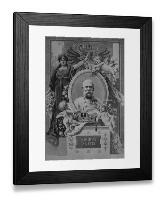 Framed Print : Franz Joseph I, 1830 - 1916, House of Habsburg-Lorraine