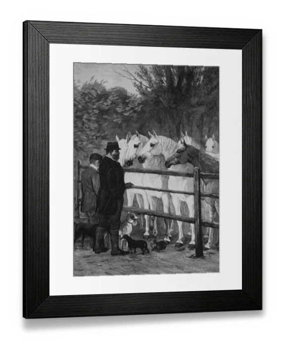 Framed Print : Lipizza stud farm, today known as Lipica stud farm Framed Print : Lipizza stud farm, today known as Lipica stud farm