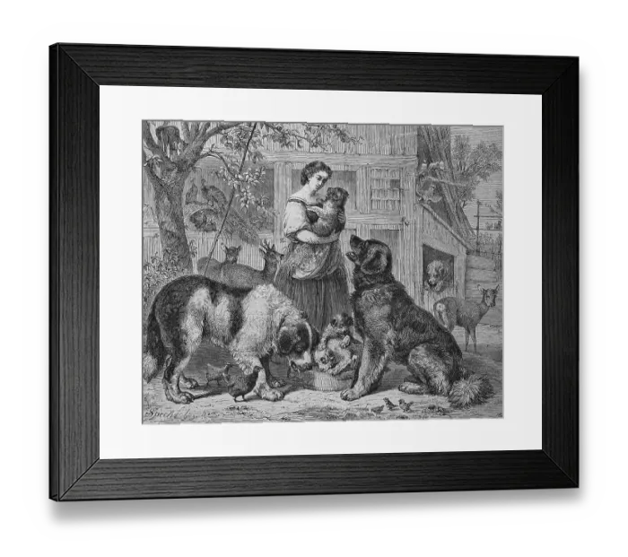 Framed Print : Woman with dogs, animal shelter Framed Print : Woman with dogs, animal shelter
