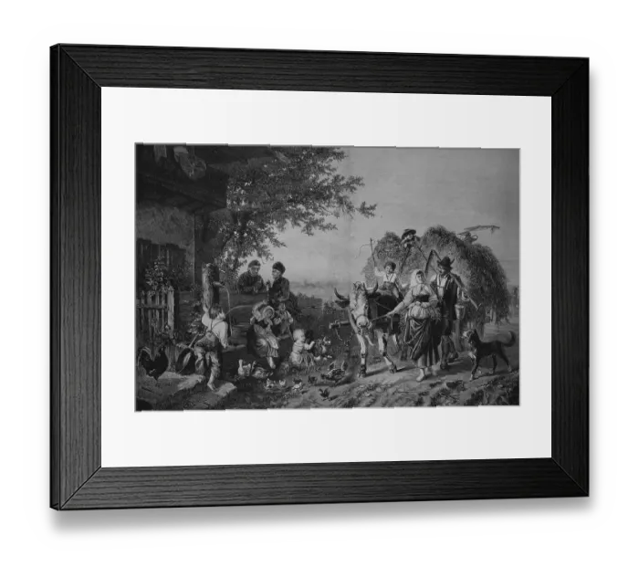 Framed Print : Hay harvest, historical engraving, circa 1885 Framed Print : Hay harvest, historical engraving, circa 1885