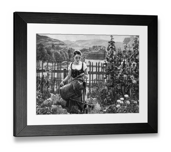 Framed Print : Woman watering plants in her garden