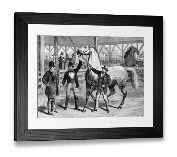 Framed Print : Horse market in Paris, France, historic wood engraving Framed Print : Horse market in Paris, France, historic wood engraving