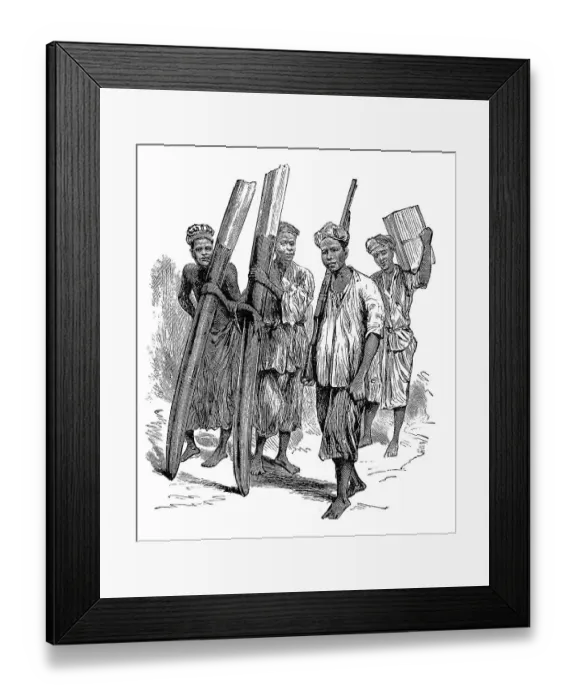 Framed Print : Native burden-bearers carrying ivory in the Congo Framed Print : Native burden-bearers carrying ivory in the Congo