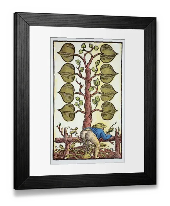 Framed Print : Playing card with a vulgar image drawn by Peter Floetner Framed Print : Playing card with a vulgar image drawn by Peter Floetner