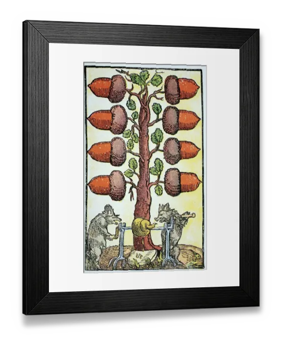 Framed Print : Playing card with a vulgar image drawn by peter Floetner Framed Print : Playing card with a vulgar image drawn by peter Floetner
