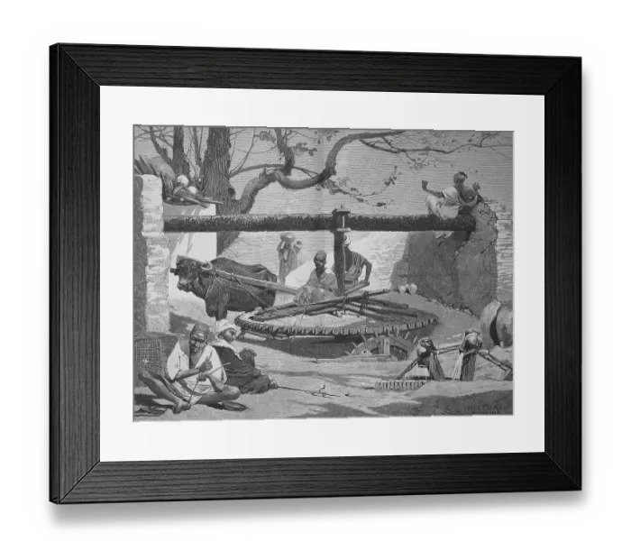 Framed Print : Well in Upper Egypt, the water is drawn with the help of an ox