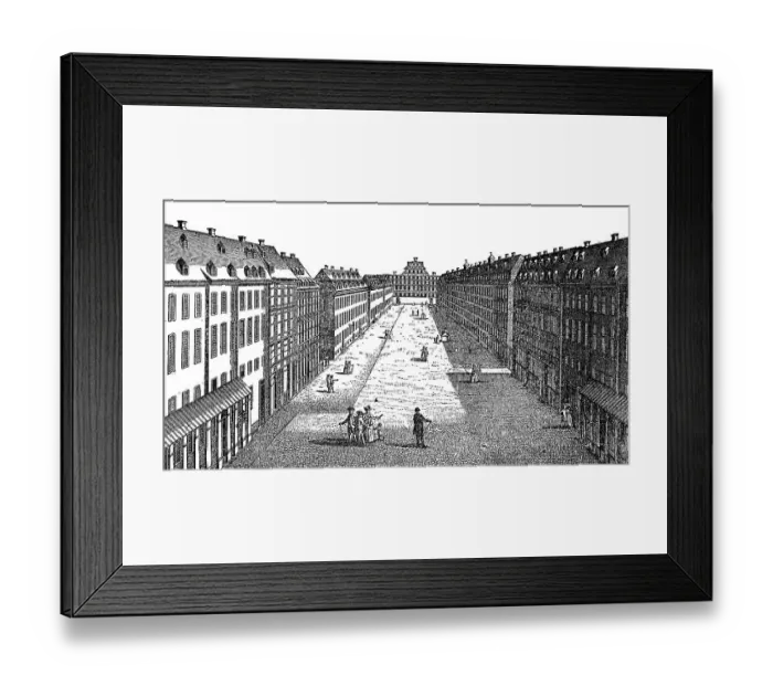Framed Print : The court of the Orphanage of Halle Framed Print : The court of the Orphanage of Halle