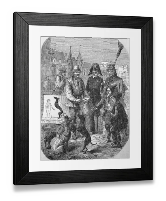 Framed Print : Street Circus, docile dog without paws makes tricks Framed Print : Street Circus, docile dog without paws makes tricks