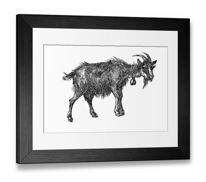 Framed Print : Goat, historical illustration from: Marie Adenfeller