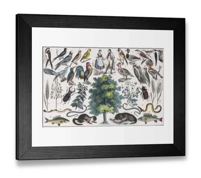 Framed Print : Zone painting Central Europe, german low mountain region