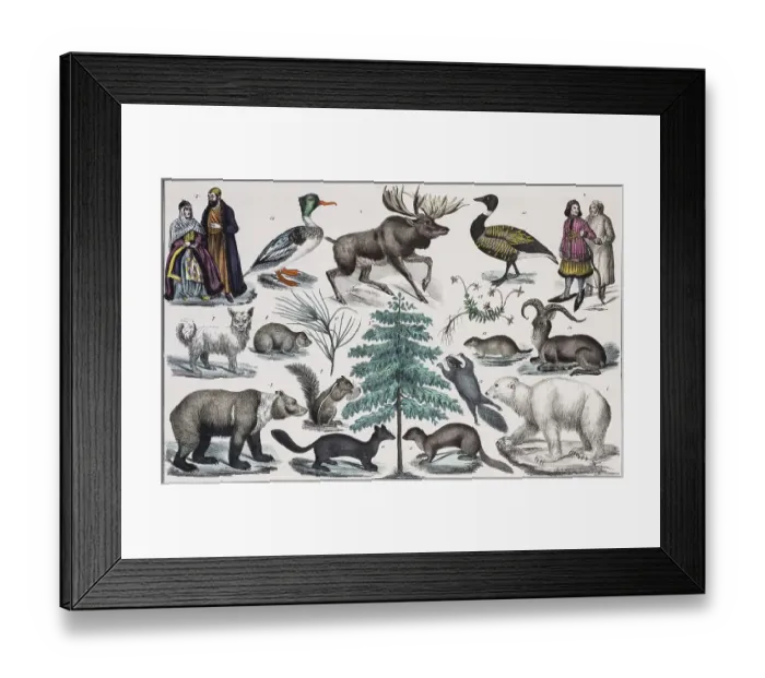 Framed Print : Zone painting North asia, asian Russia Framed Print : Zone painting North asia, asian Russia