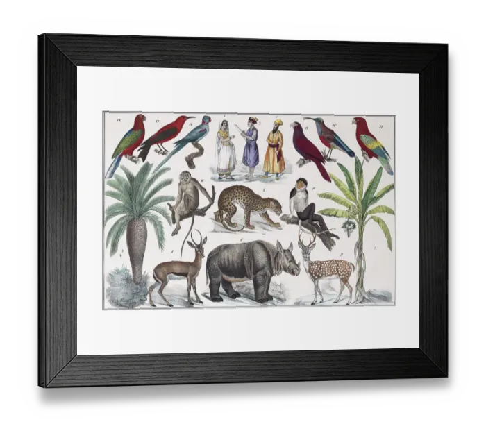 Framed Print : Zone painting South Asia, Near India Framed Print : Zone painting South Asia, Near India