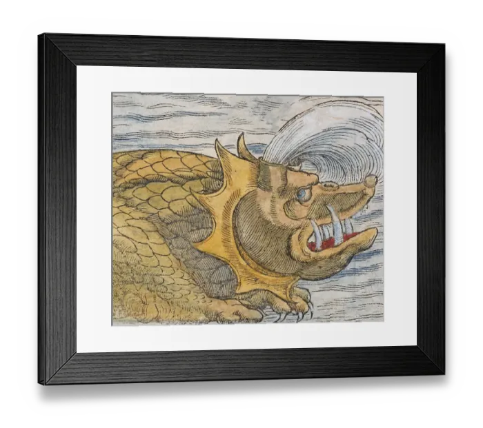 Framed Print : Sea monster, hand coloured woodcut by Sebastian Muenster from Cosmographia Universalis