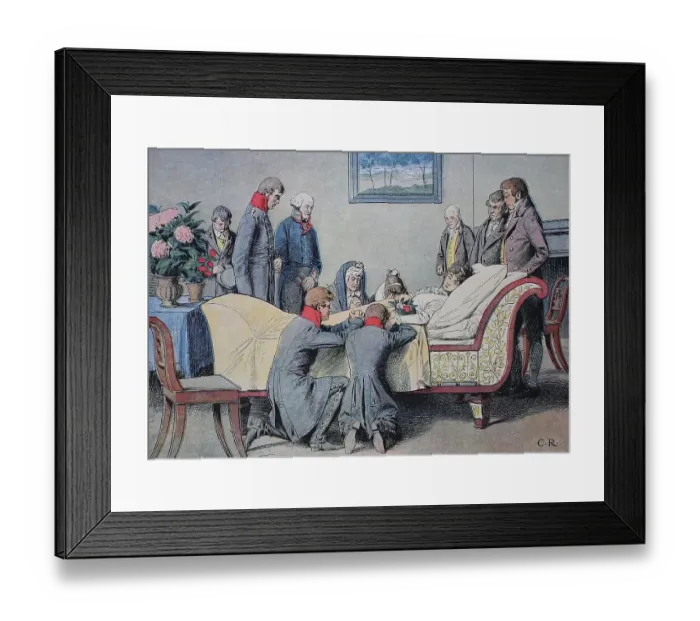 Framed Print : Duchess Louise of Mecklenburg-Strelitz Framed Print : Duchess Louise of Mecklenburg-Strelitz