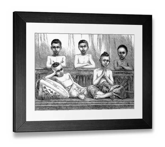 Framed Print : Novices, Buddhist temple students Framed Print : Novices, Buddhist temple students