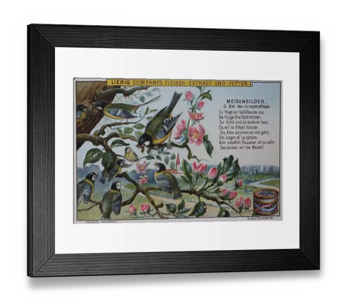 Framed Print : Tit picture series, Birds, Great Tit at brood care