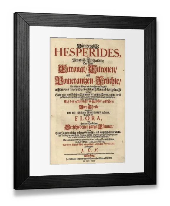Framed Print : Title page, Nuernbergische Hesperides