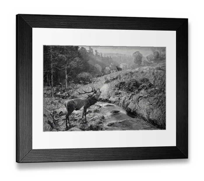 Framed Print : Morning atmosphere in early autumn in the Harz Mountains