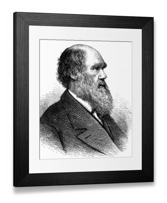 Framed Print : Charles Robert Darwin, 12 February 1809 Framed Print : Charles Robert Darwin, 12 February 1809
