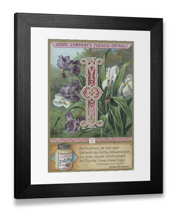 Framed Print : Picture series Letters and Plants