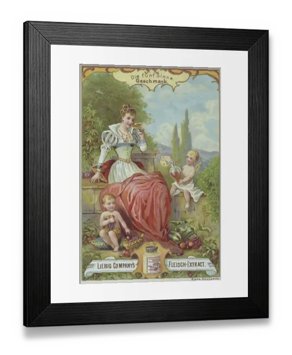 Framed Print : Picture series The Five Senses