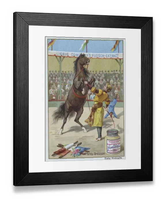 Framed Print : Series Horse Dressage in the Circus