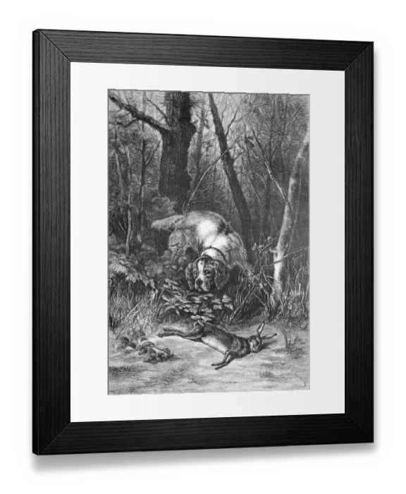 Framed Print : Jagdhund hat den geschossenen Hasen im Unterholz gefunden