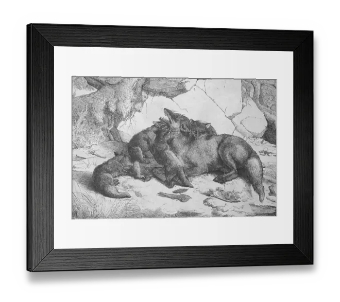 Framed Print : Red fox (Vulpes vulpes) in front of their den