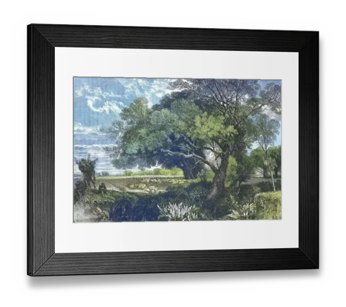 Framed Print : The Poitou countryside in western France