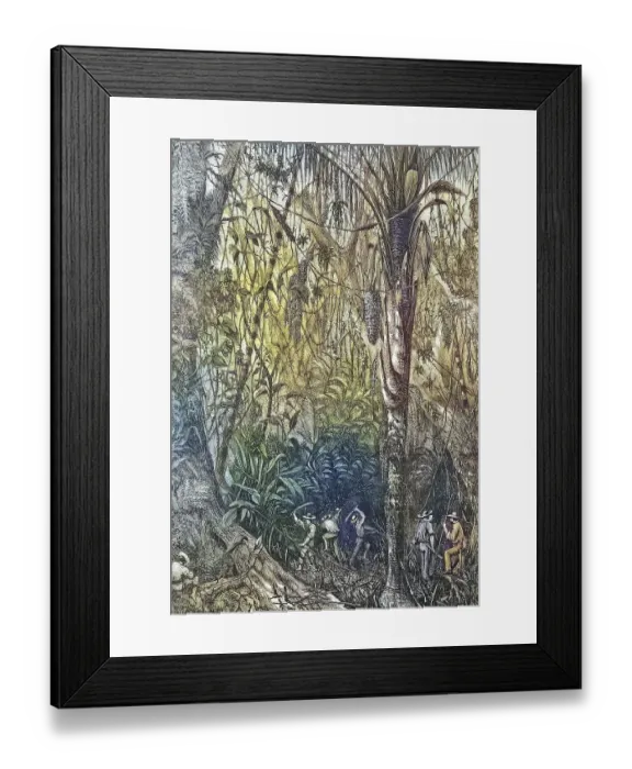 Framed Print : The Breakthrough of the Road to Nicaragua into the Miskito Reserve