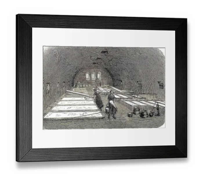 Framed Print : Model farm in Zealand in 1896, milk cellar Framed Print : Model farm in Zealand in 1896, milk cellar