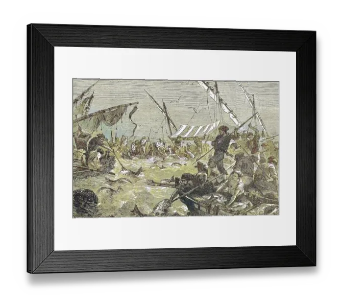 Framed Print : Tuna hunting with harpoons, tuna Framed Print : Tuna hunting with harpoons, tuna