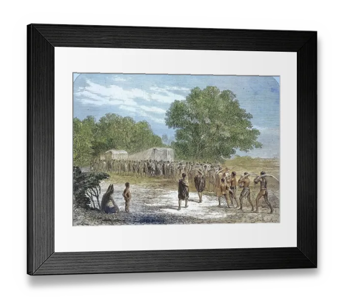 Framed Print : Ivory trade in South Africa, locals carry elephant tusks to a buying place