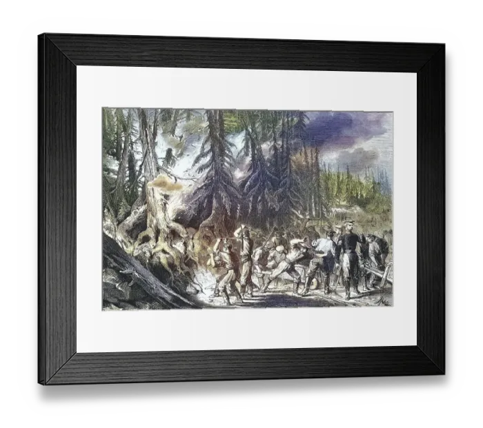 Framed Print : Forest Fire, Fire of a Fir Forest near St