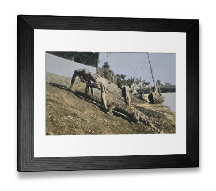Framed Print : Crocodile hunt, Egypt, Historical