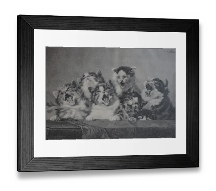 Framed Print : 6 Young Cats Yawning, Tired Kittens