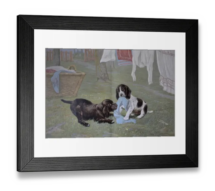 Framed Print : Young dogs at play, pulling laundry off the line