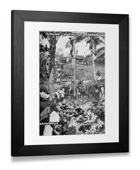 Framed Print : The vegetable raw materials of the German colonies Framed Print : The vegetable raw materials of the German colonies