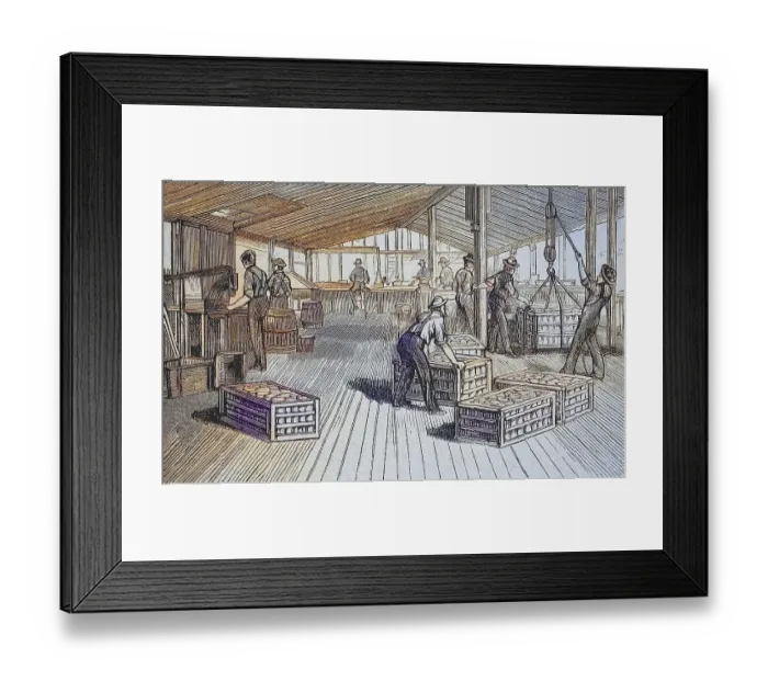 Framed Print : Canning factory of Thurber & Co in Moorestown Framed Print : Canning factory of Thurber & Co in Moorestown