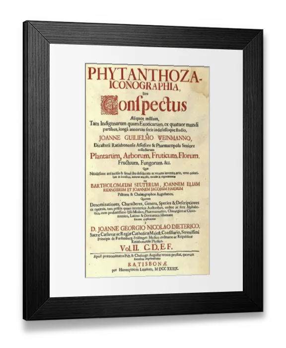 Framed Print : Title page of the book Phytanthoza Iconographica