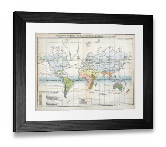 Framed Print : Insects, Map of the distribution of important and characteristic insects and arachnids on earth