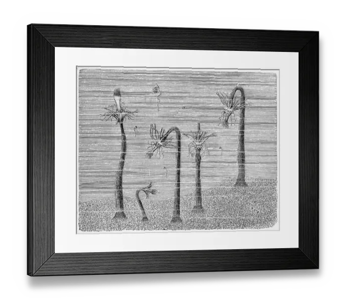 Framed Print : Group of Corymorphanutans together with alien jellyfish