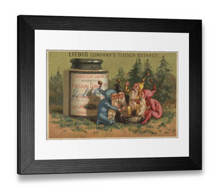 Framed Print : Picture series Four Gnomes in the Forest