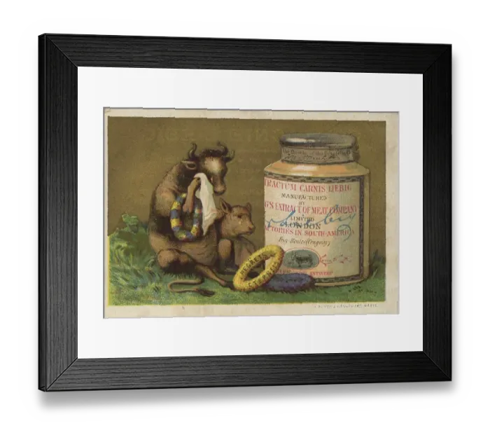 Framed Print : Series of pictures Ox as Judge Framed Print : Series of pictures Ox as Judge