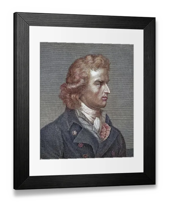 Framed Print : Johann Christoph Friedrich Schiller Framed Print : Johann Christoph Friedrich Schiller