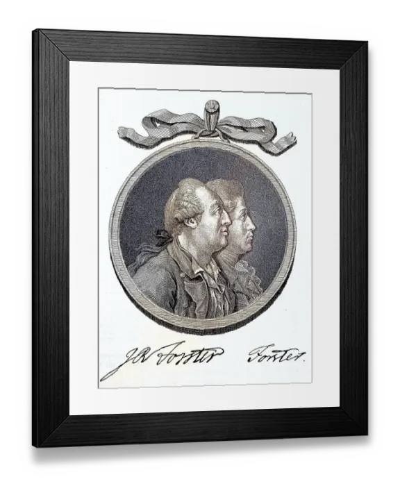 Framed Print : Johann Georg Adam Forster, 27 November 1754 Framed Print : Johann Georg Adam Forster, 27 November 1754